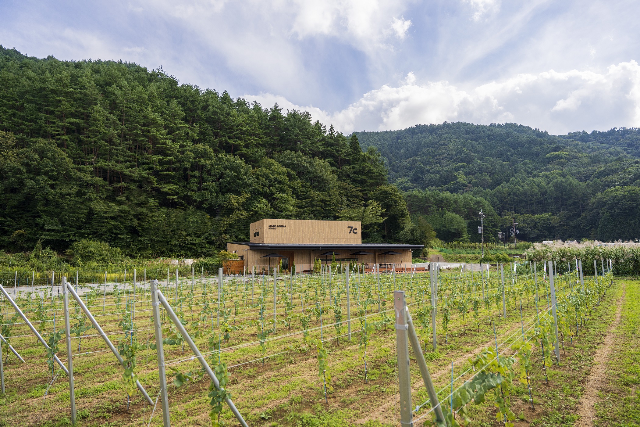 Vin De Yamanashi |
